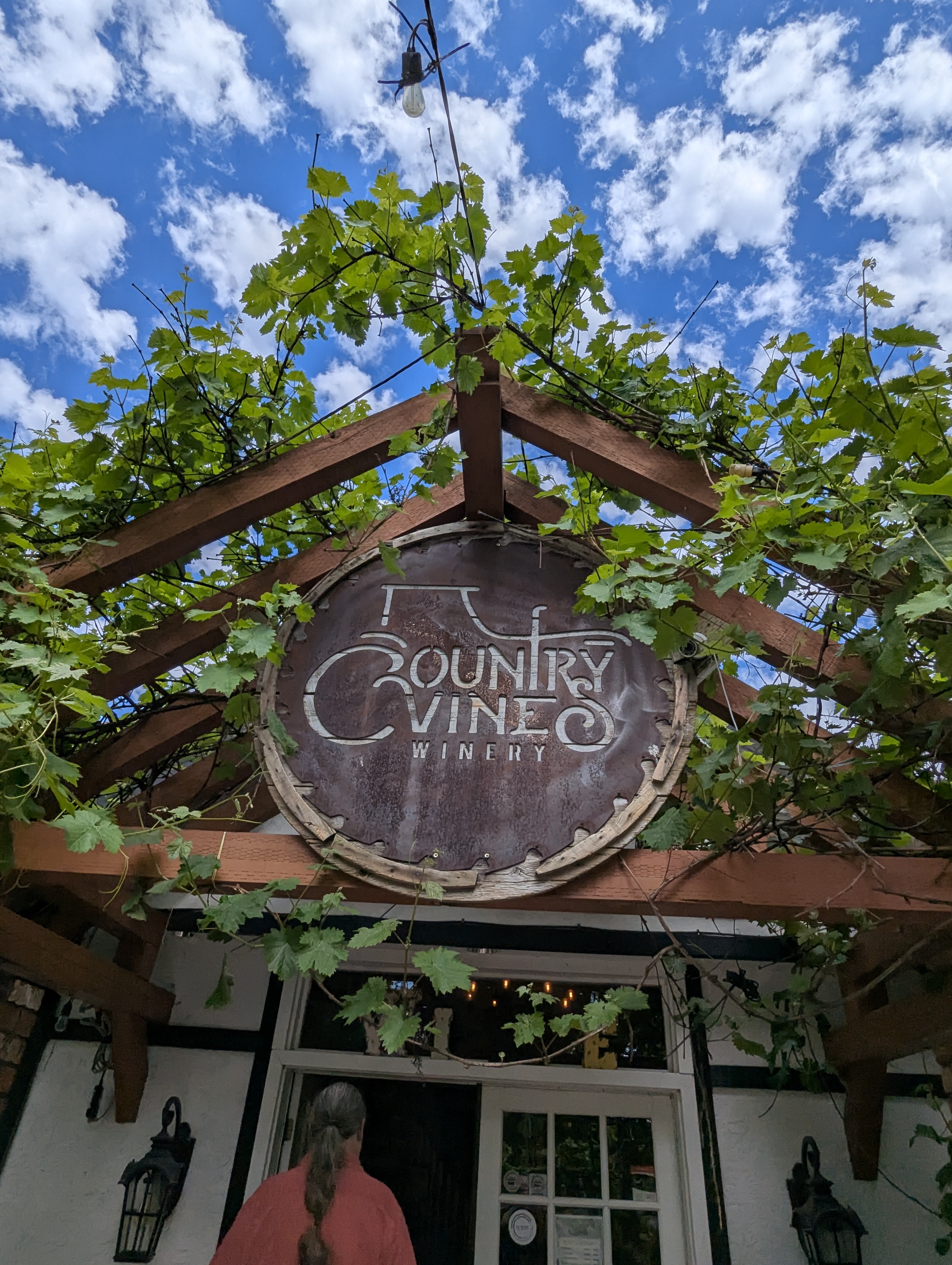 Birthday Trip to Canada, Country Vines Winery, Richmond, British Columbia